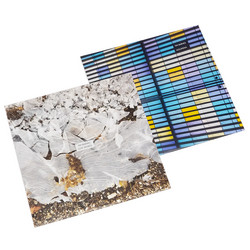 Lost Words + Noumena (2LP bundle)