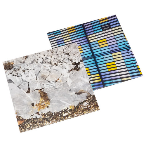 Lost Words + Noumena (2LP bundle)