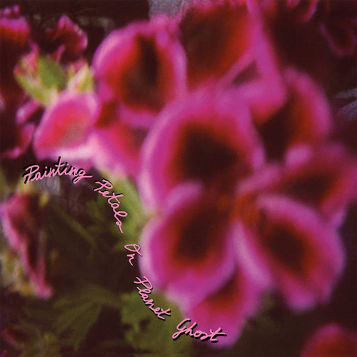 Fallen Camellias