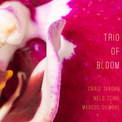  Trio of Bloom 