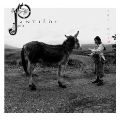Pantilde