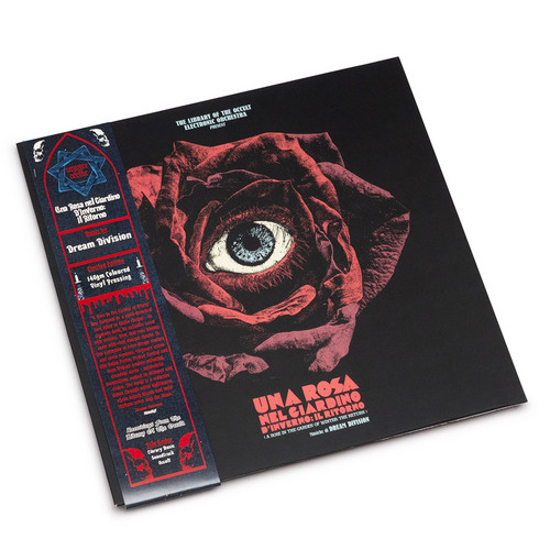 Una Rosa Nel Giardino D'Inverno: Il Ritorno