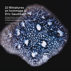 22 Miniatures En Hommage à Eric Gaudibert