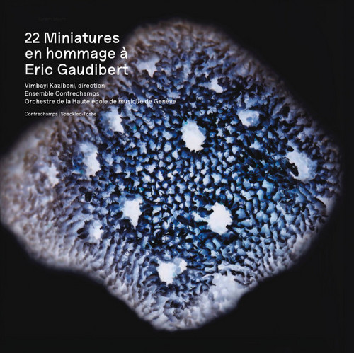 22 Miniatures En Hommage à Eric Gaudibert