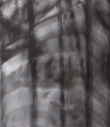 NAAU / Trunk Space