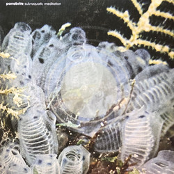 Sub-Aquatic Meditation