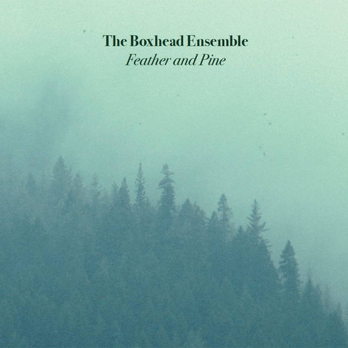  Feather and Pine 