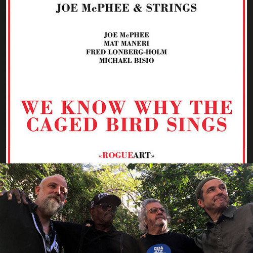 We Know Why The Caged Bird Sings