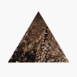 Soil (30th Anniversary Edition) 3LP