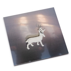 Stainless Steel Mirrors 