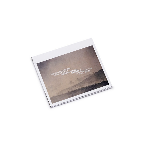 Microcanonical Ensemble