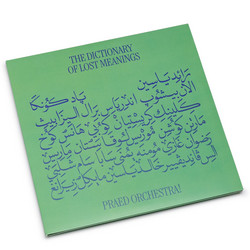 The Dictionary of Lost Meanings