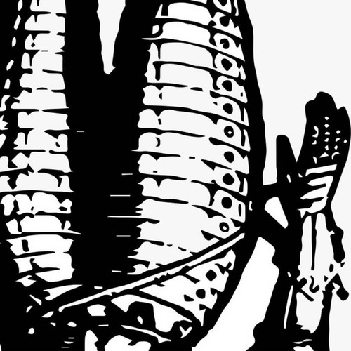 The Dissolute Society Comprised of All Sorts