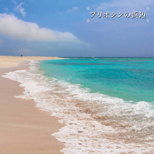 Beach of the Pliocene