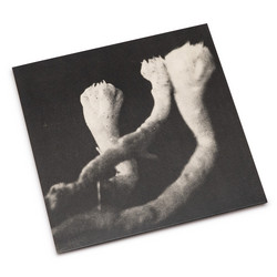 Unterhaltungen mit Larven und Überresten