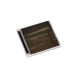 The cat from Cat Hill