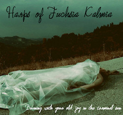 Burning With Your Old Joy In The Terminal Sun