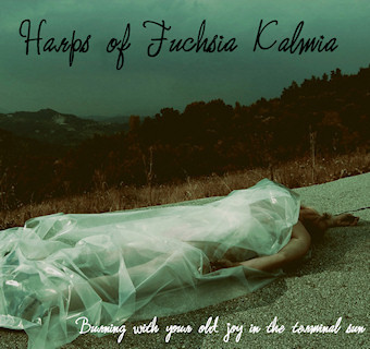 Burning With Your Old Joy In The Terminal Sun