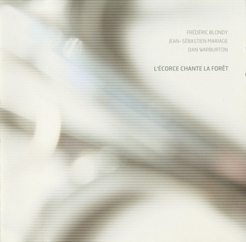 L'écorce Chante La Forêt