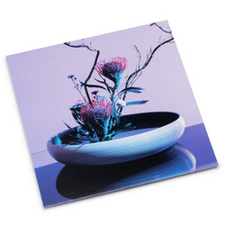 Walls, Corridors, Baffles