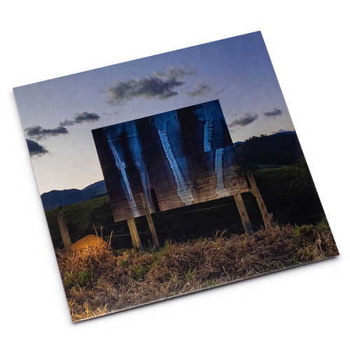 Sensational Conversations