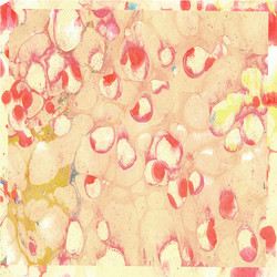 Suoniin, Luihin, Ytimiin