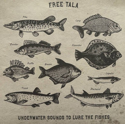 Underwater Sounds To Lure The Fishes