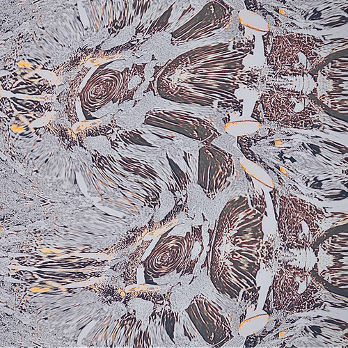 『儀式〜よもぎとの遭遇』