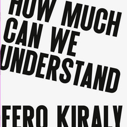  How Much Can We Understand 