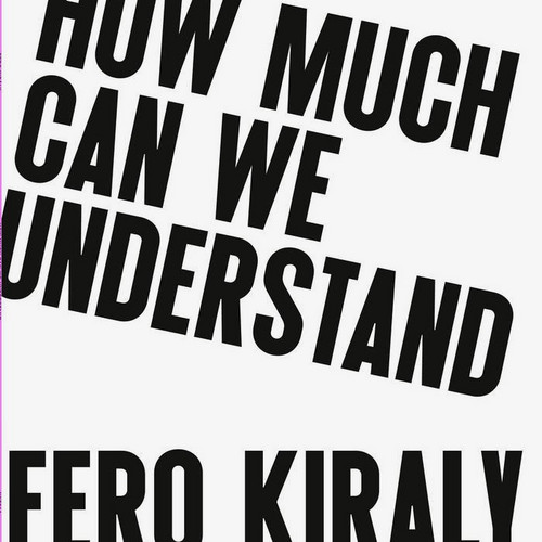  How Much Can We Understand 