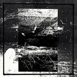 Nothing Left Untouched