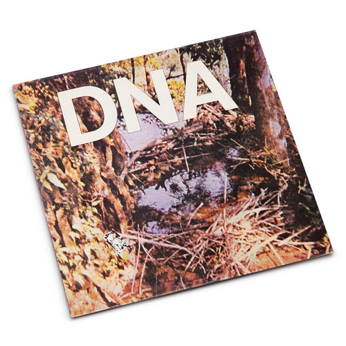 A Taste of DNA (12"EP)