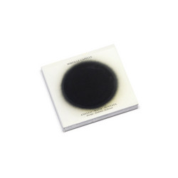 Anello. Naga. Sunyata