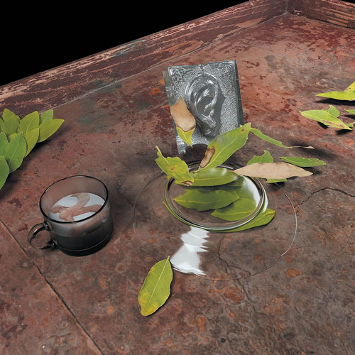 The Reintegration of the Ear