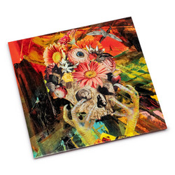 Cadaverous Condition – Destroying the Night Sky