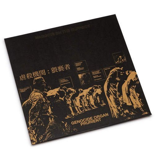 Maggots On The Cliffside