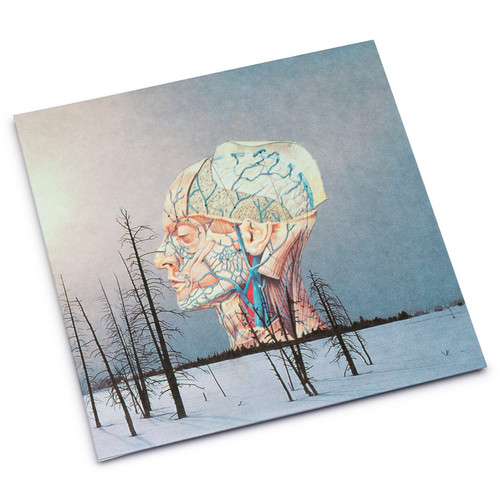 Songs For A Dead Pilot