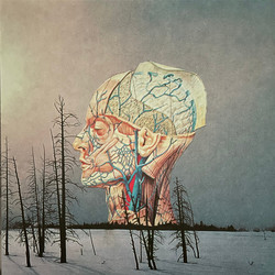 Songs For A Dead Pilot