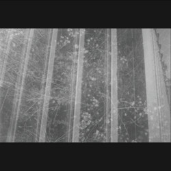 Forming - Concentric Rings in Magnetic Levitation