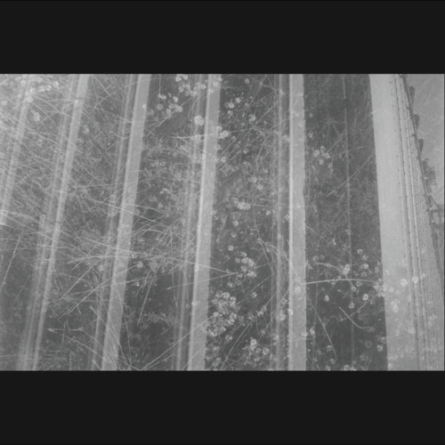 Forming - Concentric Rings in Magnetic Levitation