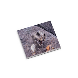 Shipwreck Radio Volume One (Seven Sonic Structures From Utvær)