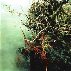 Ceremonies Of Memory I & II