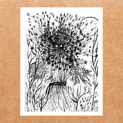  Steenkiste - Bischoff 