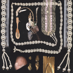 sedimentary flesh diary