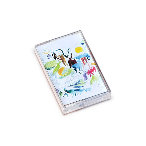 Double Consciousness