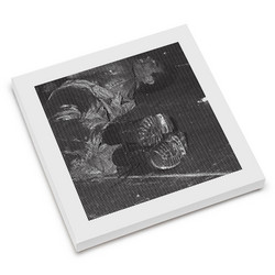 C.O.I.T. - A Collection of Isolated Tracks 1981-1988