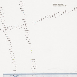 No One Notices the Fly