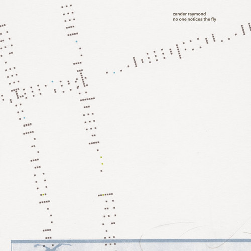 No One Notices the Fly