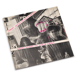 The Voice Of America (LP)