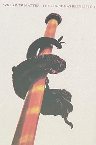 The Curse Has Been Lifted